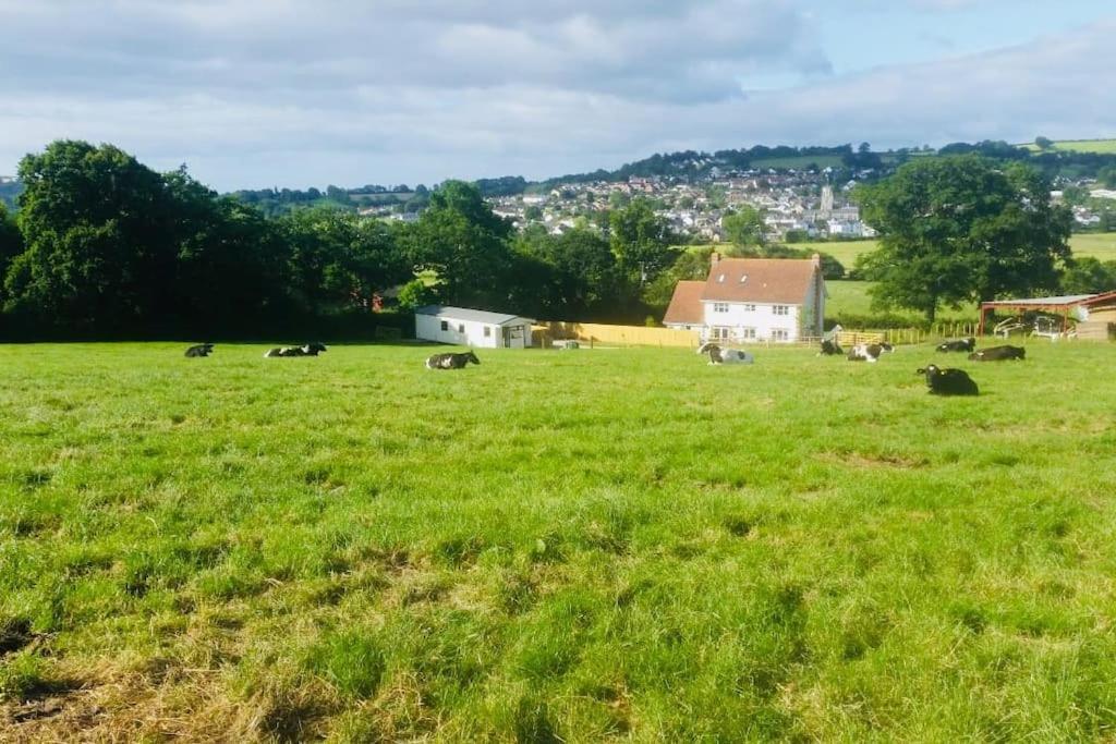 Park Gate House Farm Holidays, Colyton-'Elizabeth Εξωτερικό φωτογραφία