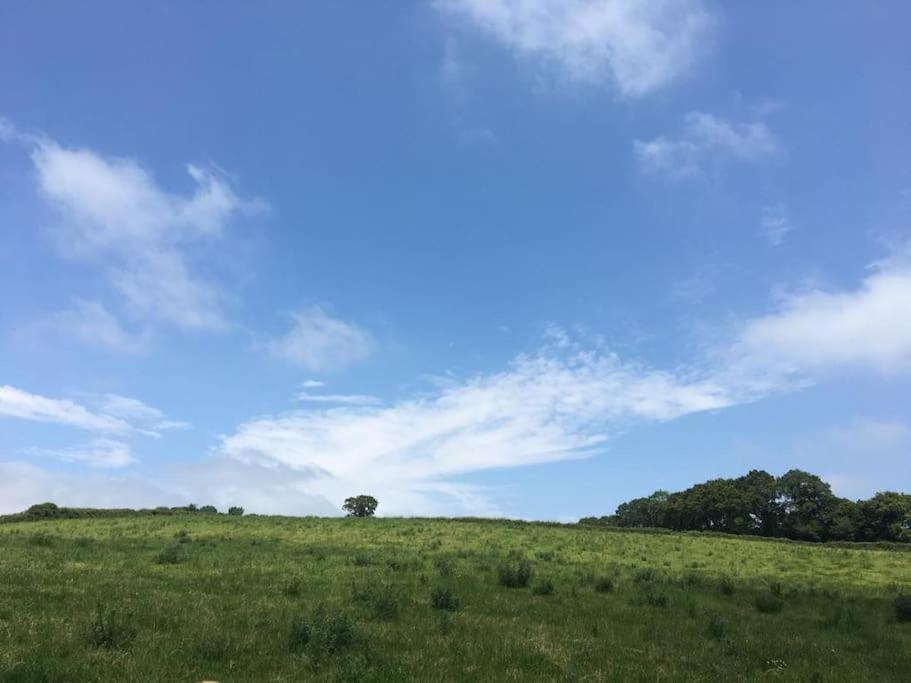 Park Gate House Farm Holidays, Colyton-'Elizabeth Εξωτερικό φωτογραφία