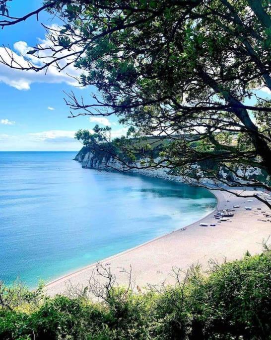 Park Gate House Farm Holidays, Colyton-'Elizabeth Εξωτερικό φωτογραφία